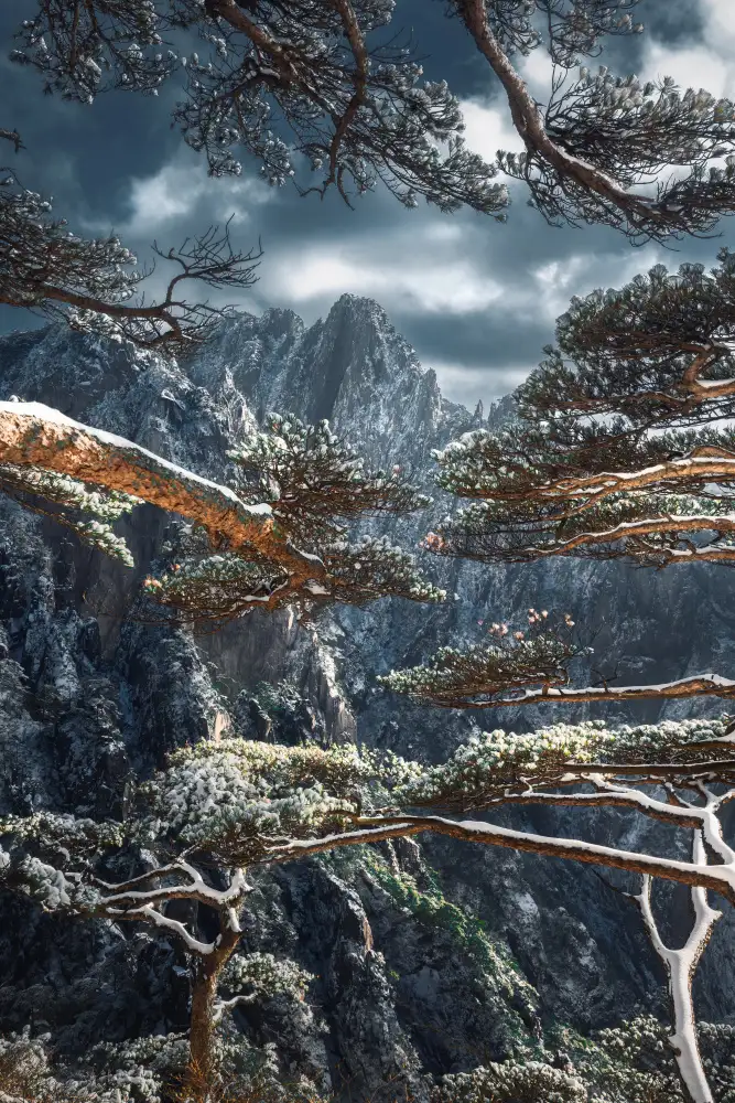 Ye, NingYun: montaña amarilla