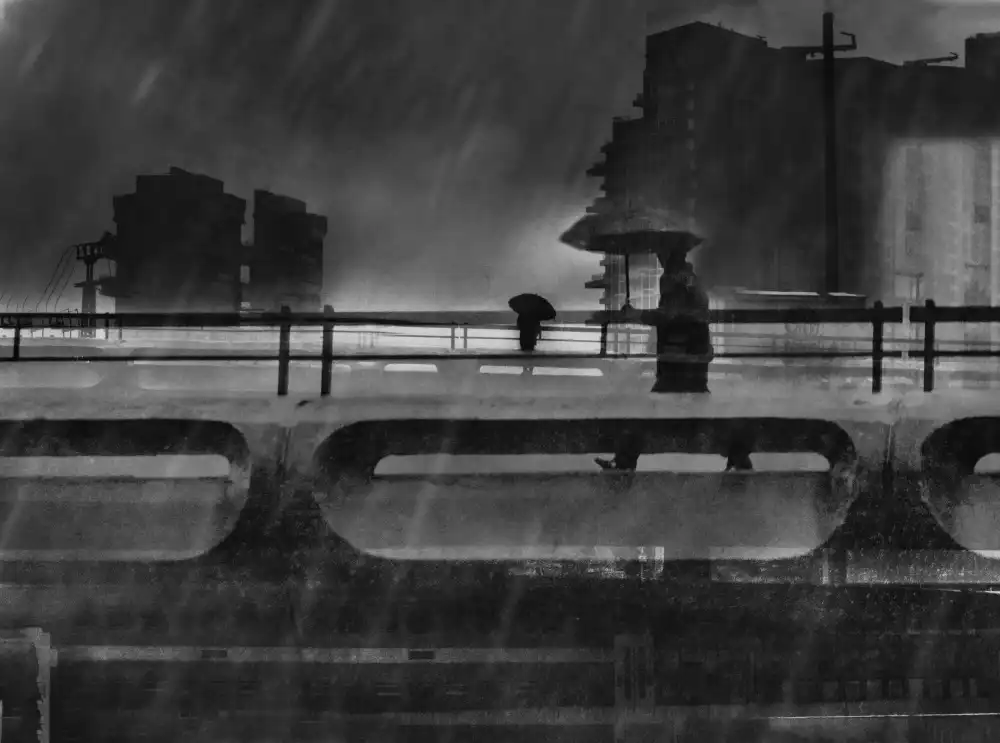 Pansky, Rachel: Un día lluvioso