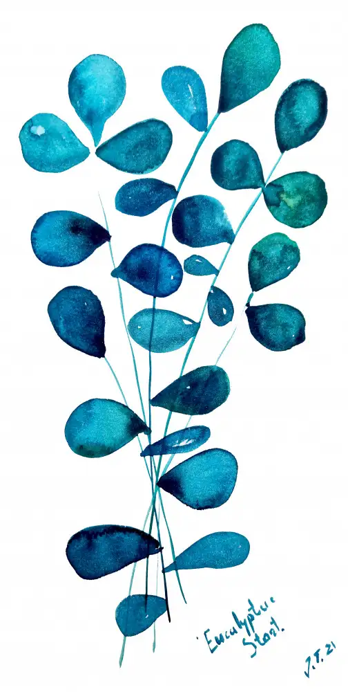Belickienė, Julija: Eucalyptus