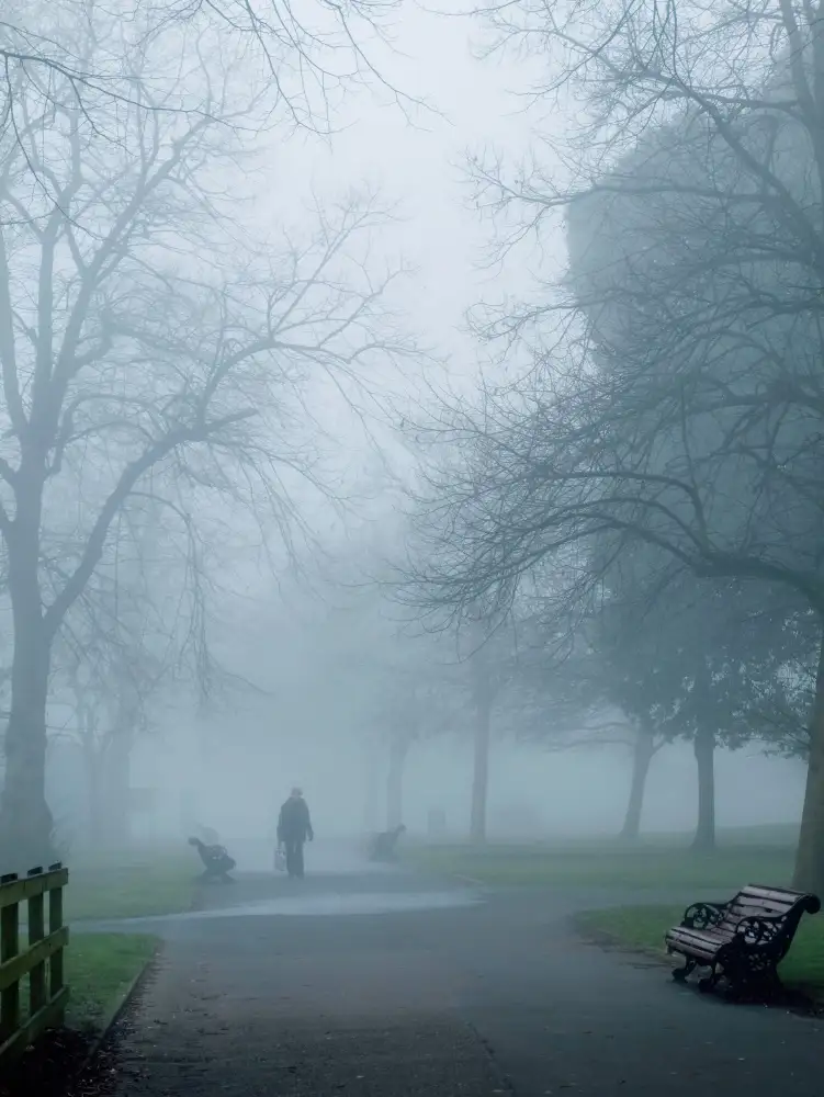 Allen, Elizabeth: City Fog