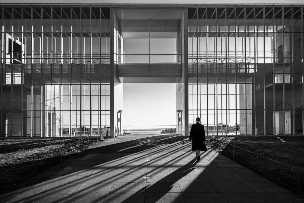 Fujii, Yuzo: Stripe Shadows