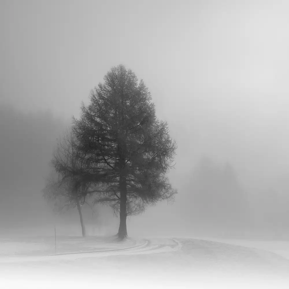 VéroniqueS: winter on its way