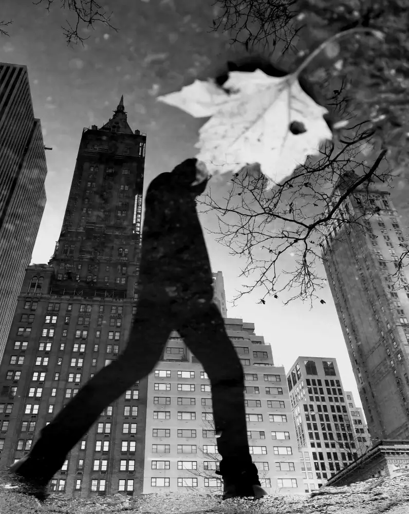Lesica, Ivan: Réflexions à New York