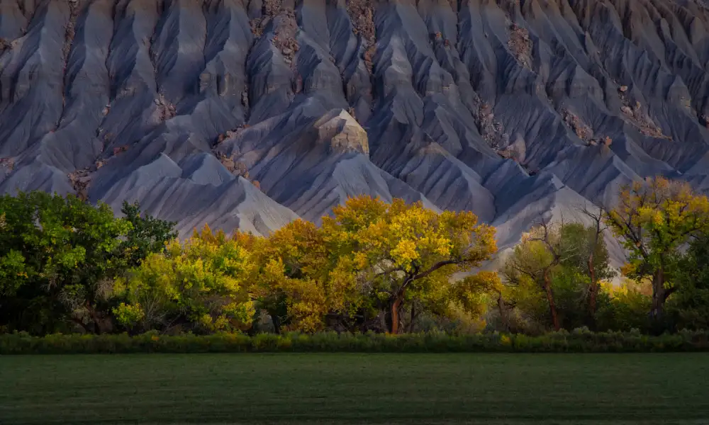Zhang, Dennis: Autumn Gold in Badlands