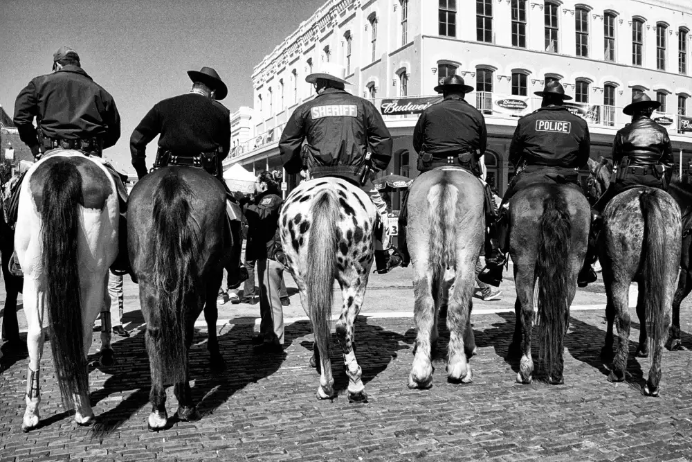 Strelok: Posse