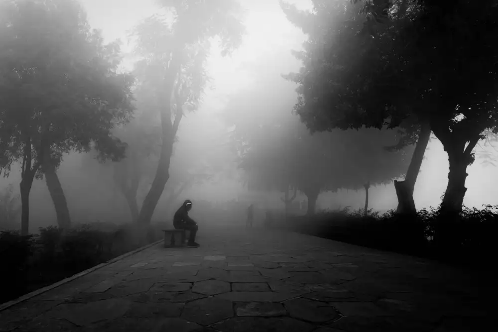Banerjee, Nilendu: La nebbia