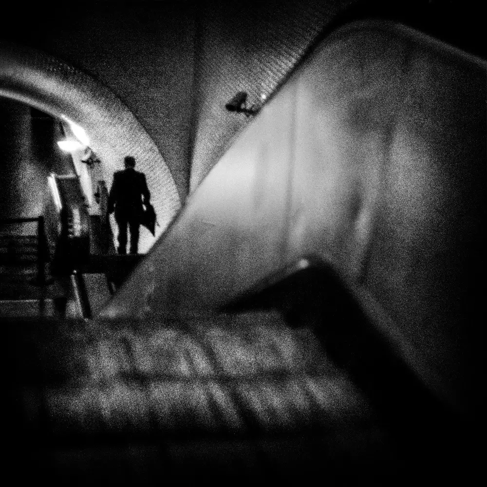 Abrantes, Paulo: La notte solitaria
