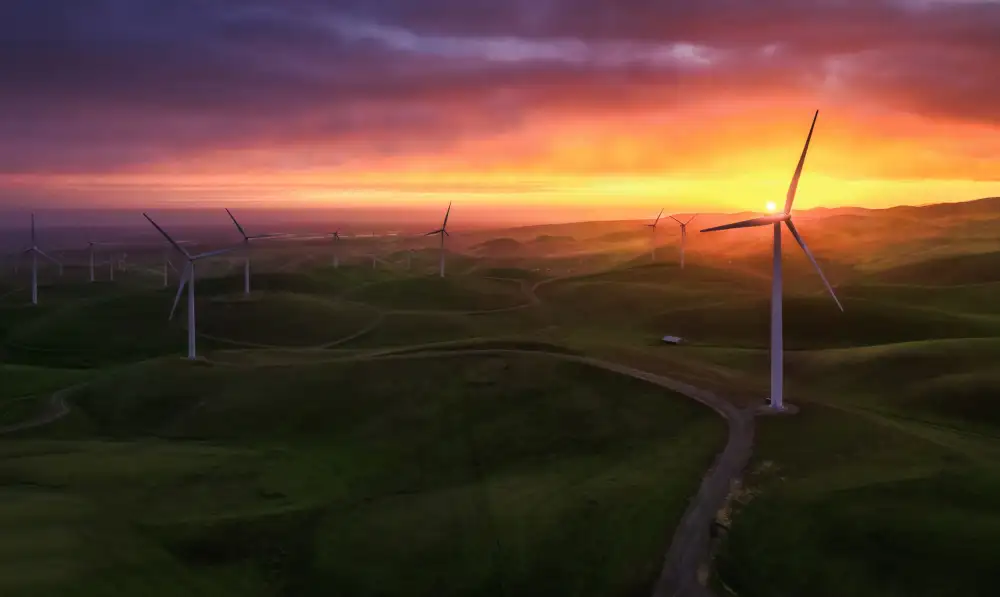 Qiu, Jenny: Sunrise at the Windmills Farm(3)