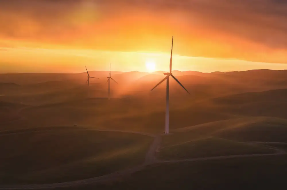 Qiu, Jenny: Sunrise at the Windmills Farm(4)