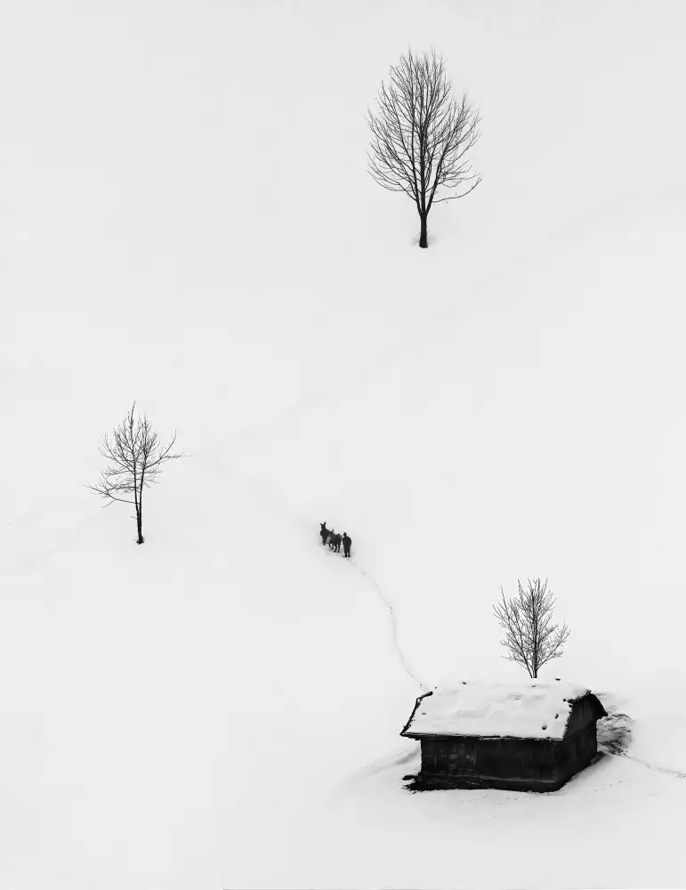 Prioteasa, Sebastian: dias de invierno