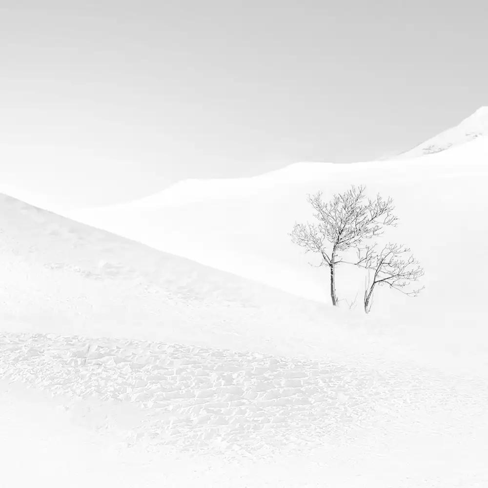 Nodeh, Mostafa: Dream