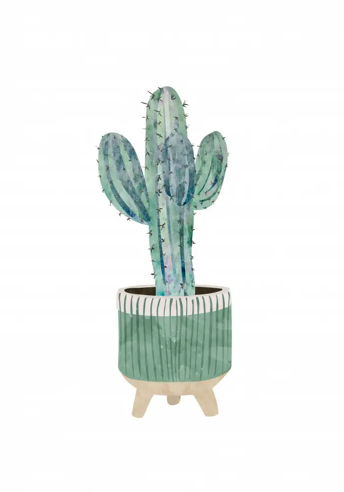 Manovski, Sarah: Cactus scandi bohème 1