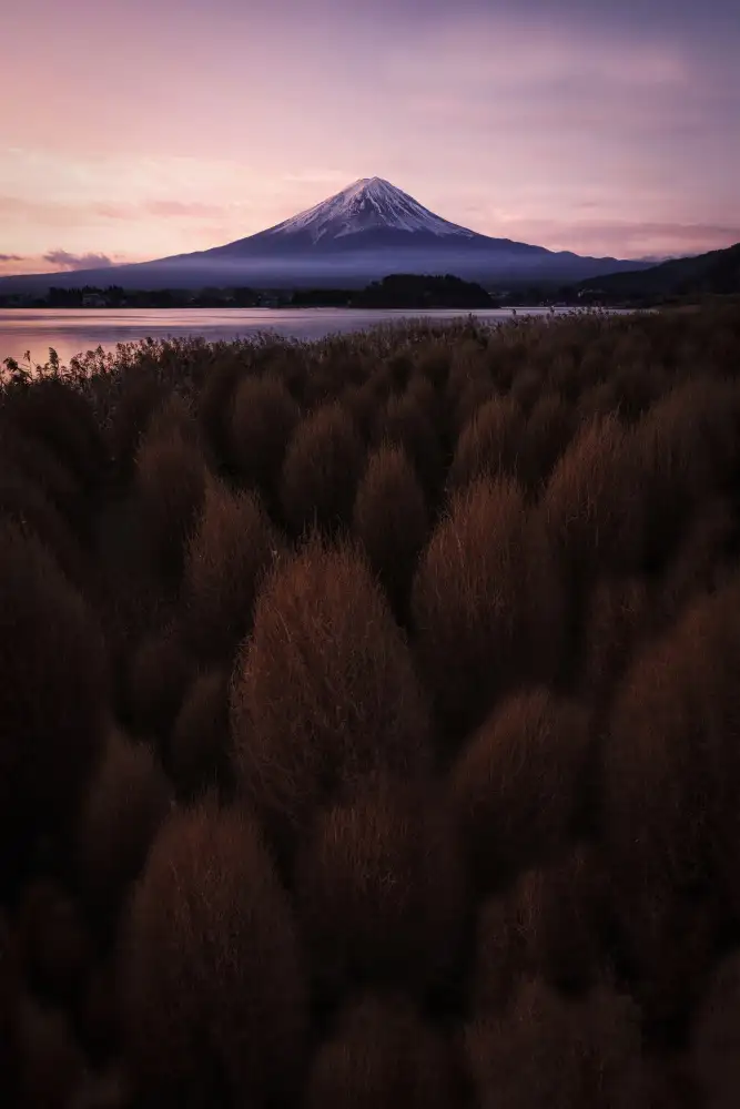 Lu, Linda: Amanecer