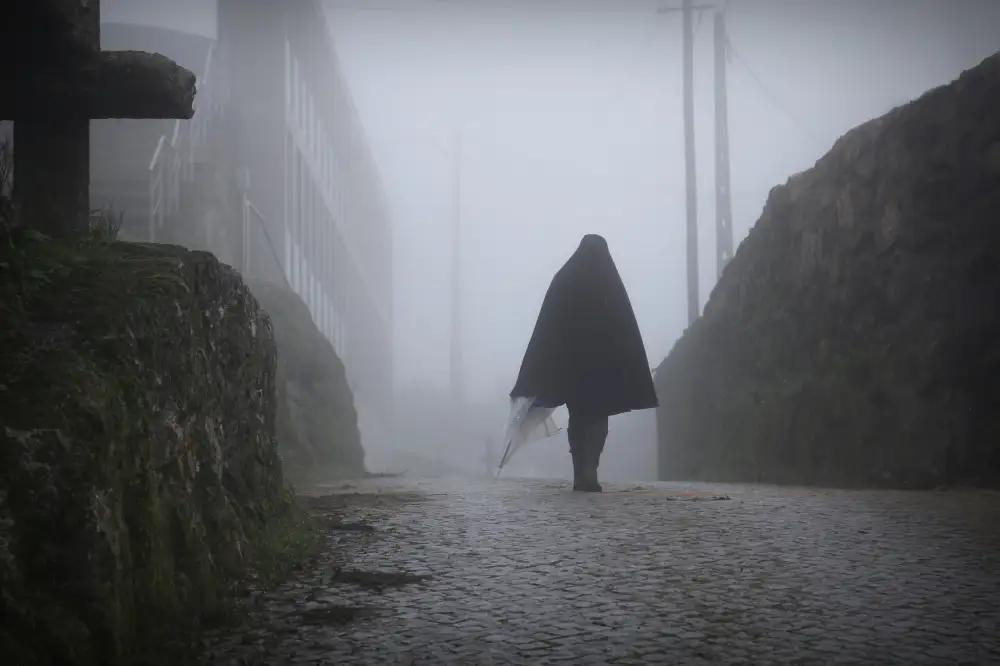 Daniel, Isabel: Le silence de l'hiver