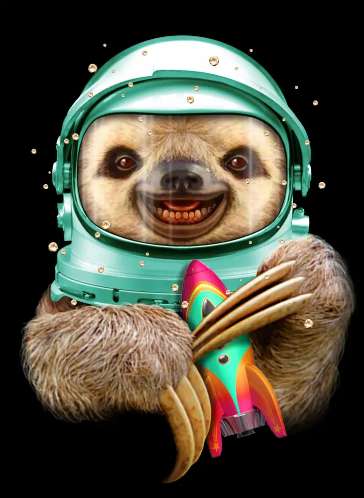 Lawless, Adam: SPACESLOTH