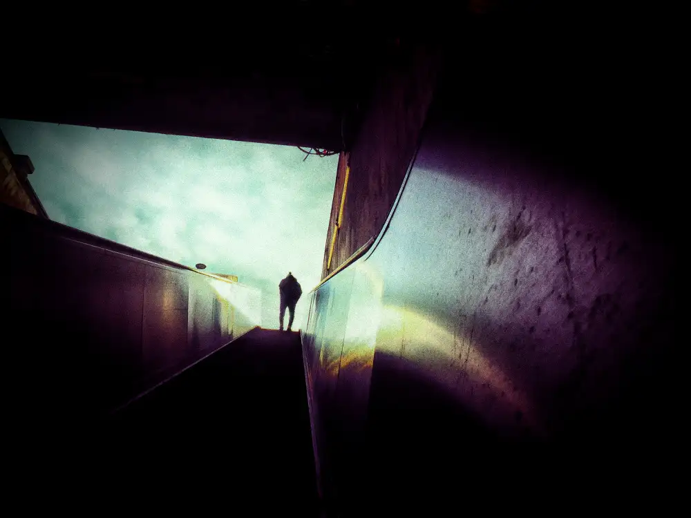 Momanu, Mirela: Escaleras al cielo