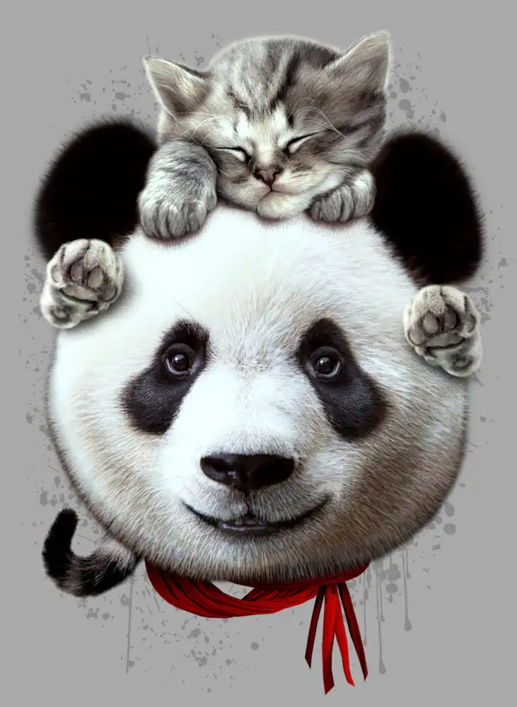 Lawless, Adam: kočka na medvěda panda
