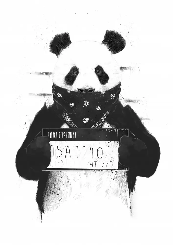Solti, Balazs: Böser Panda