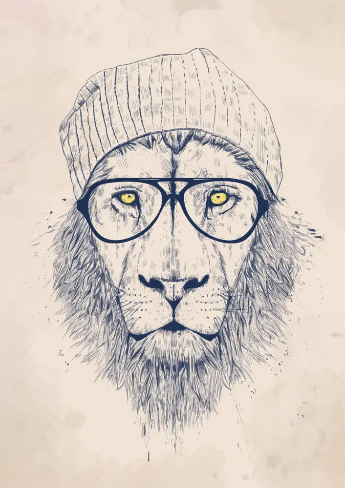 Solti, Balazs: Lion cool