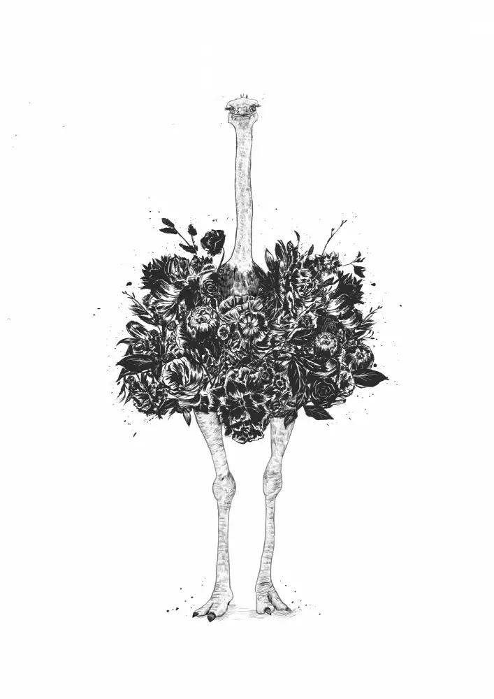 Solti, Balazs: Avestruz floral