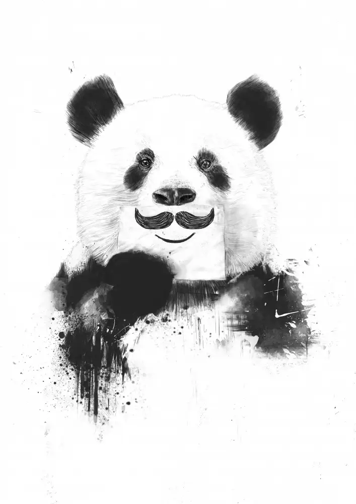 Solti, Balazs: panda divertido