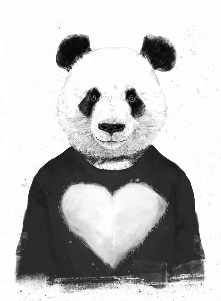 Solti, Balazs: Panda encantador