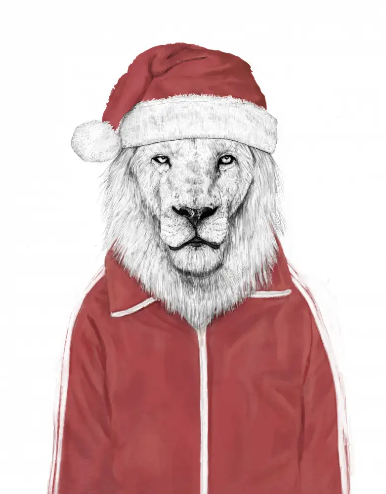 Solti, Balazs: león de santa