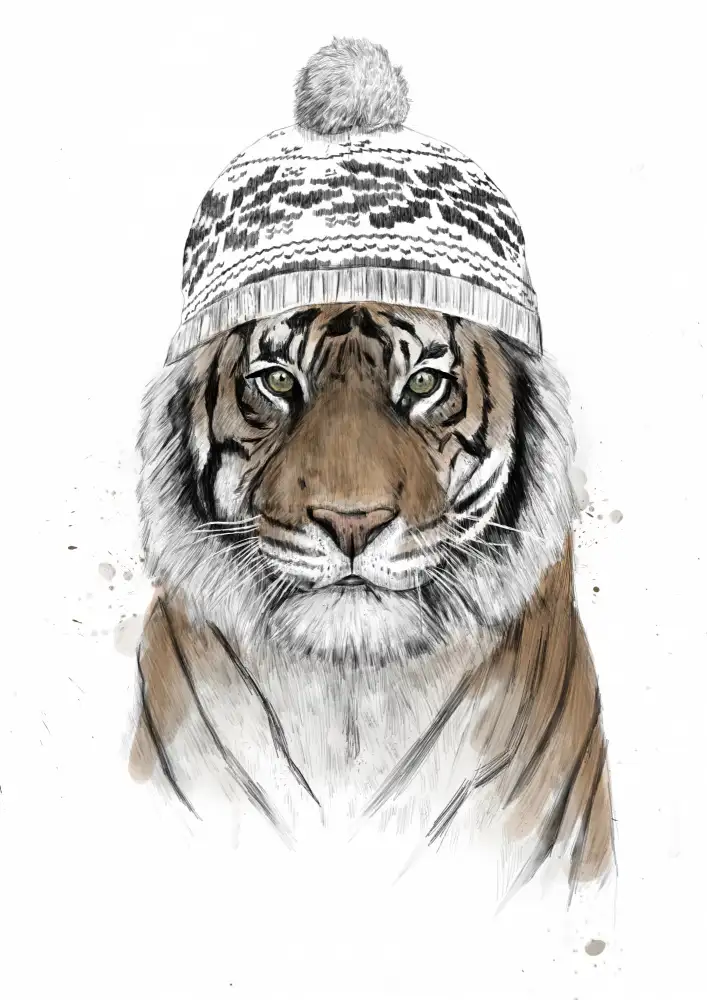 Solti, Balazs: Sibirischer Tiger