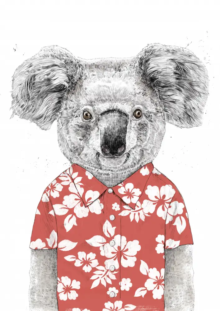 Solti, Balazs: Koala de verano (rojo)