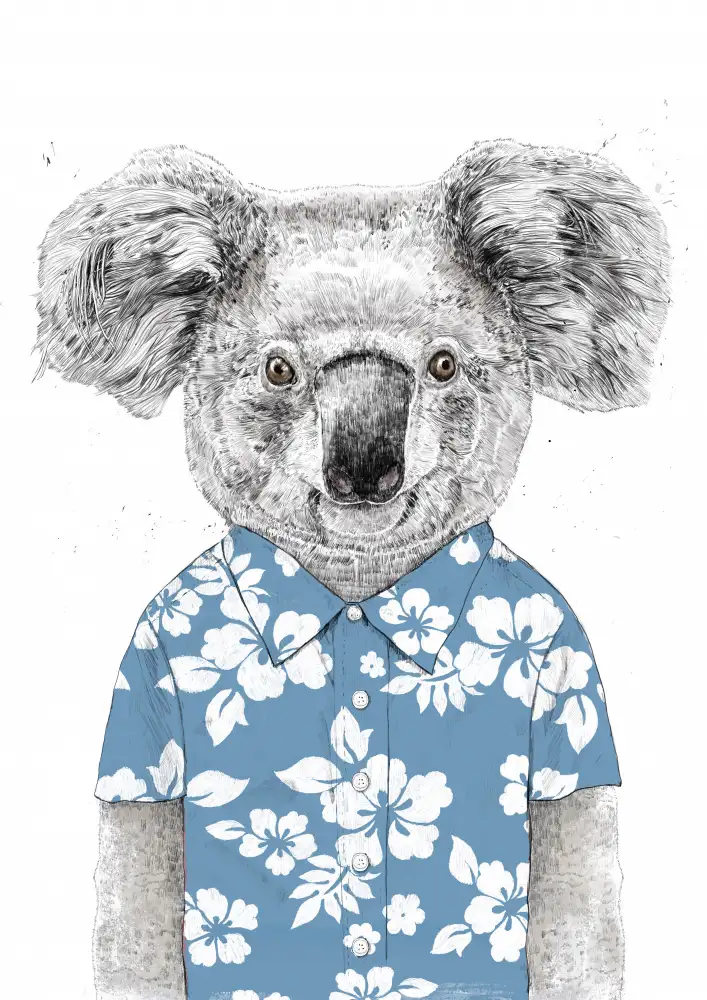 Solti, Balazs: Koala de verano (azul)