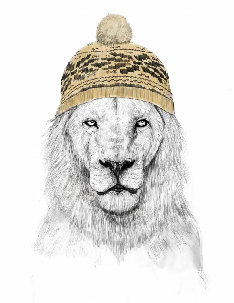 Solti, Balazs: León de invierno