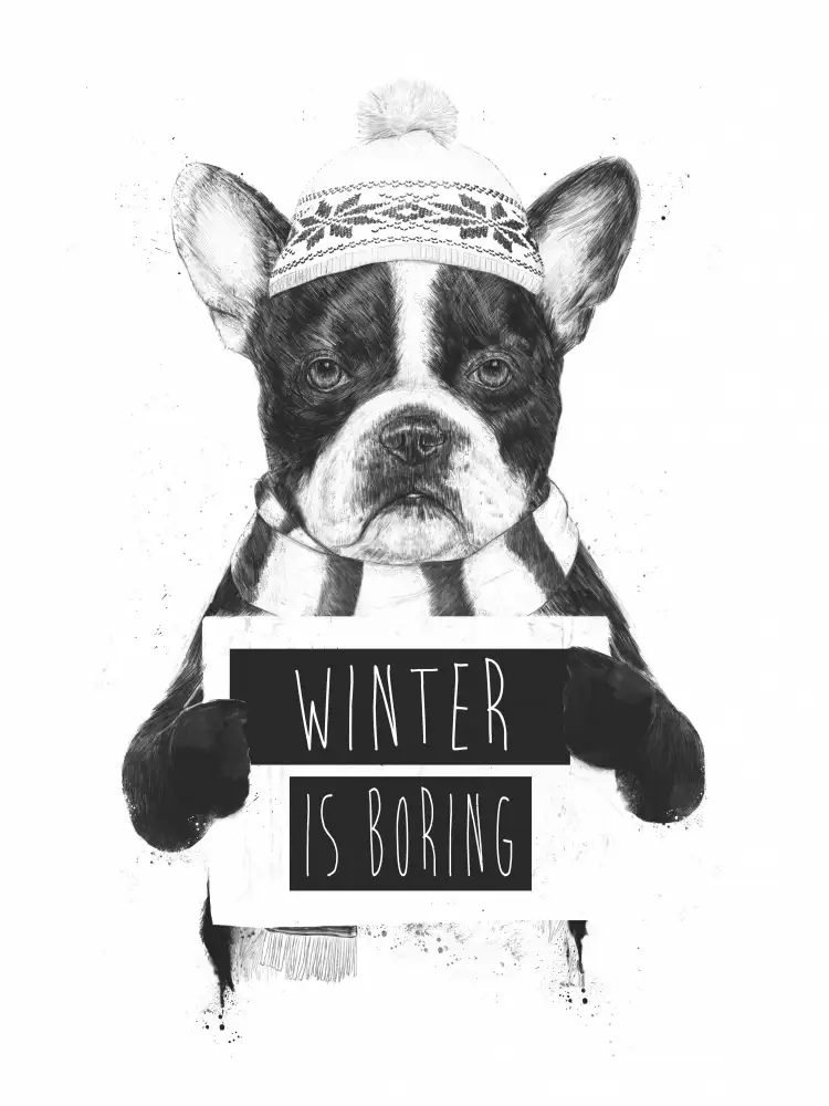 Solti, Balazs: el invierno es aburrido