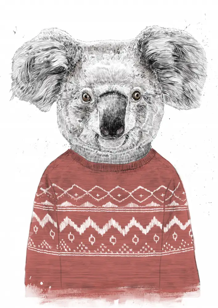 Solti, Balazs: Winterkoala (rot)