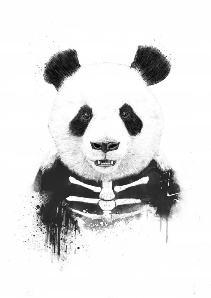 Solti, Balazs: panda zombi