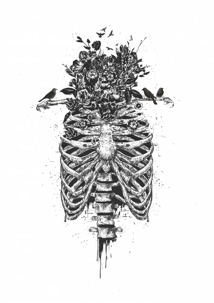 Solti, Balazs: Árbol de la vida