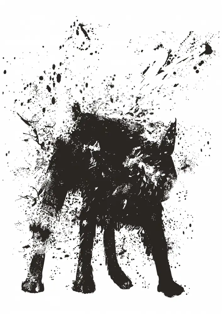 Solti, Balazs: Perro mojado