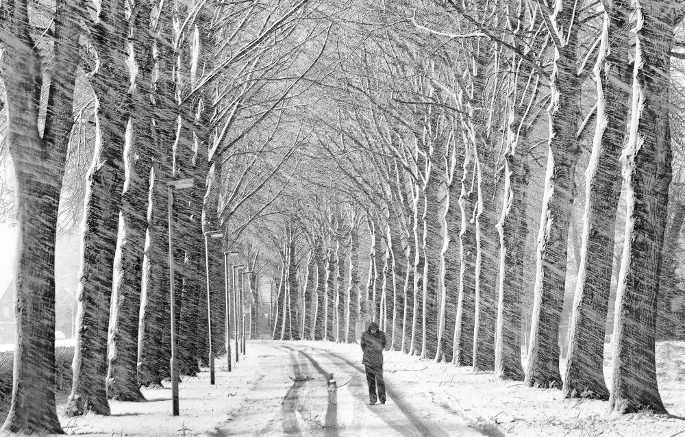 Urlings, Lou: Schneespaziergang