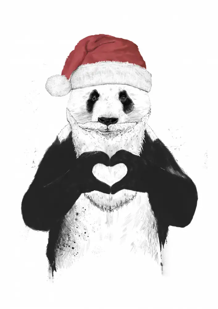 Solti, Balazs: Papá Noel