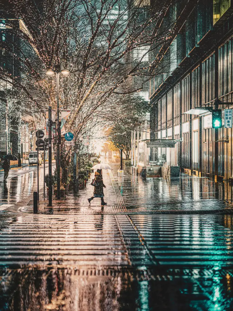 Fujii, Yuzo: Tokyo Winter Illuminations