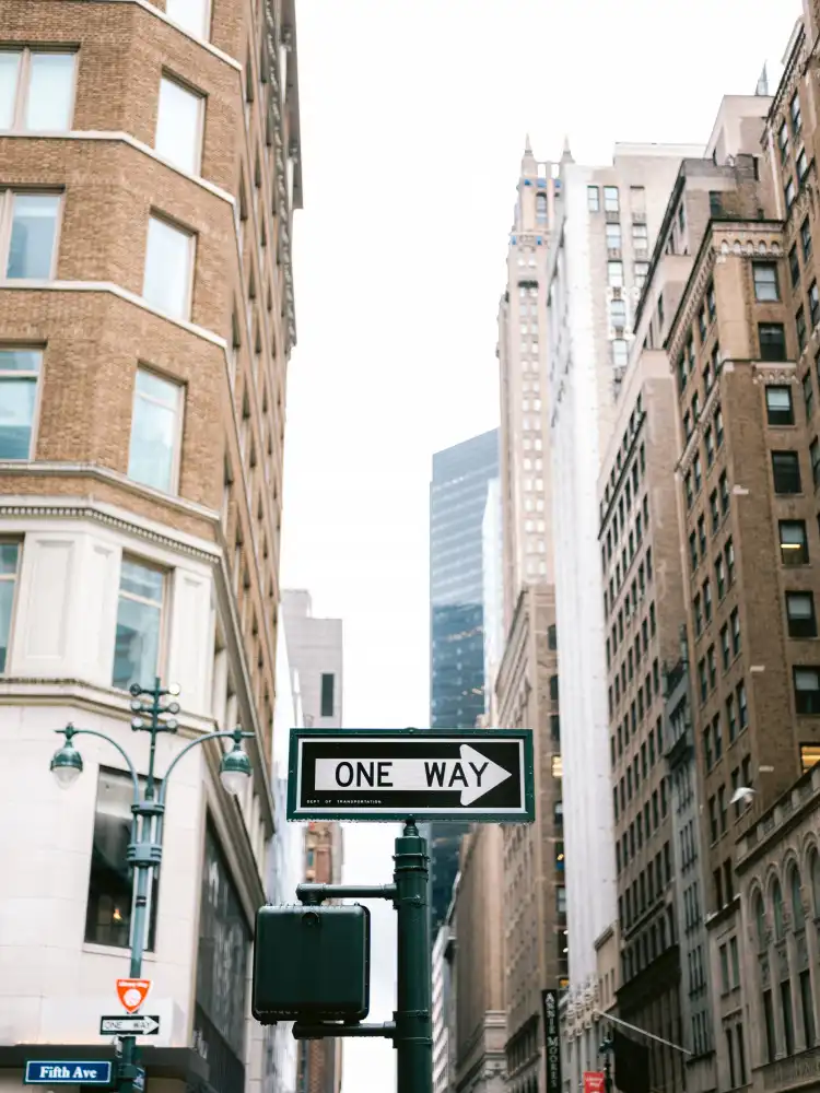 Zwart, Raisa: Fifth Avenue New York