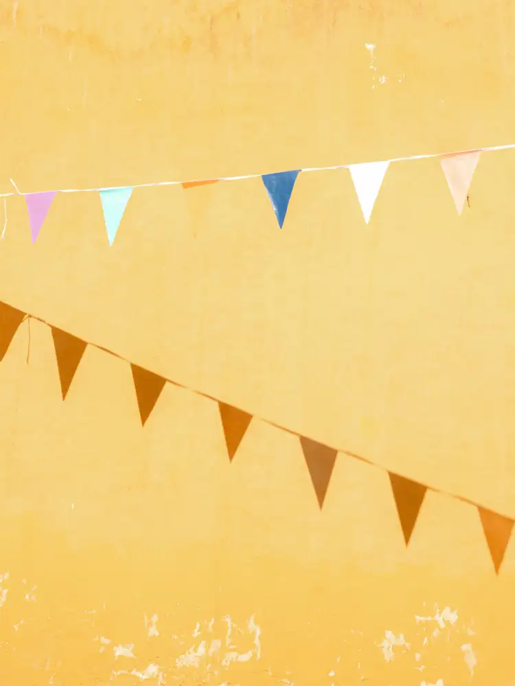 Zwart, Raisa: Mexican Flags