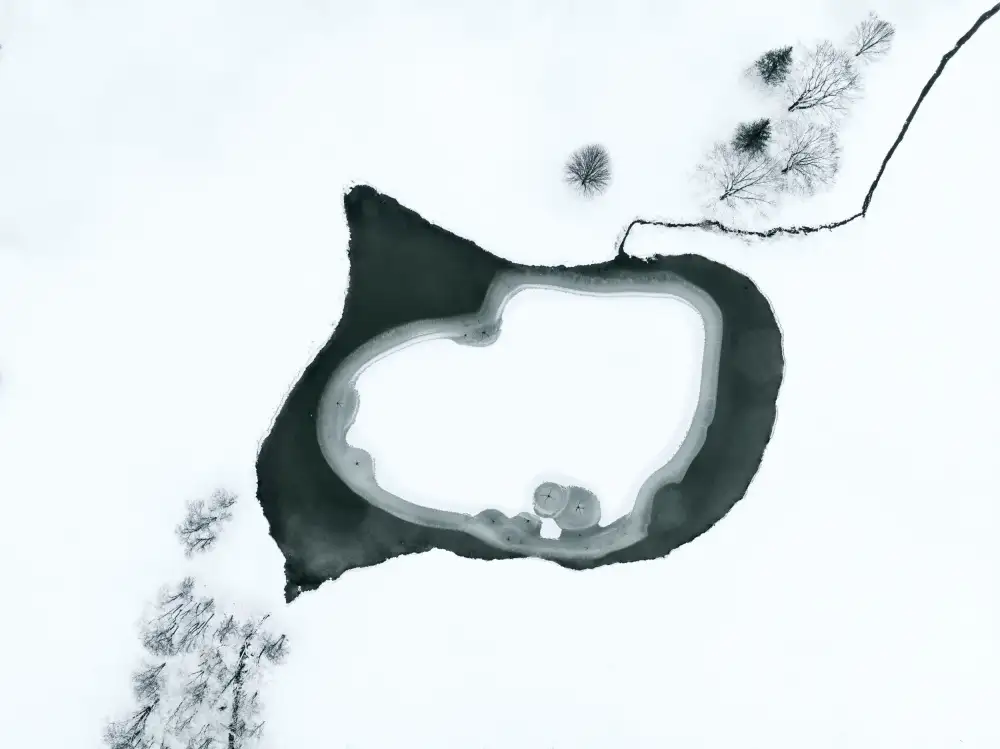 Lu, Ling: The Silence of Winter