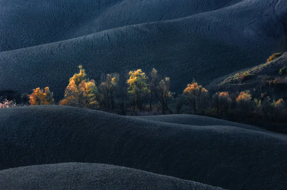 Kravanja, Jure: Toscana