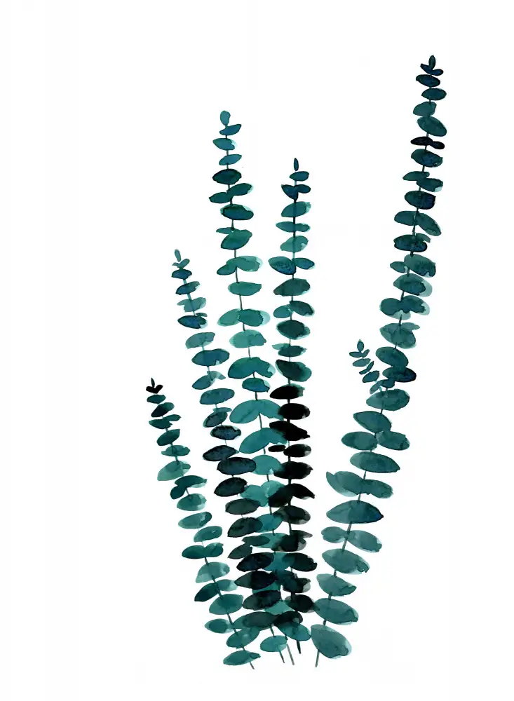 Blursbyai, Laiz Rosana: Teal akvarel eukalyptus I