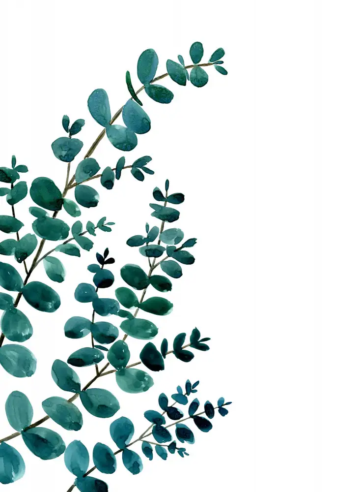 Blursbyai, Laiz Rosana: Teal akvarel eukalyptus II
