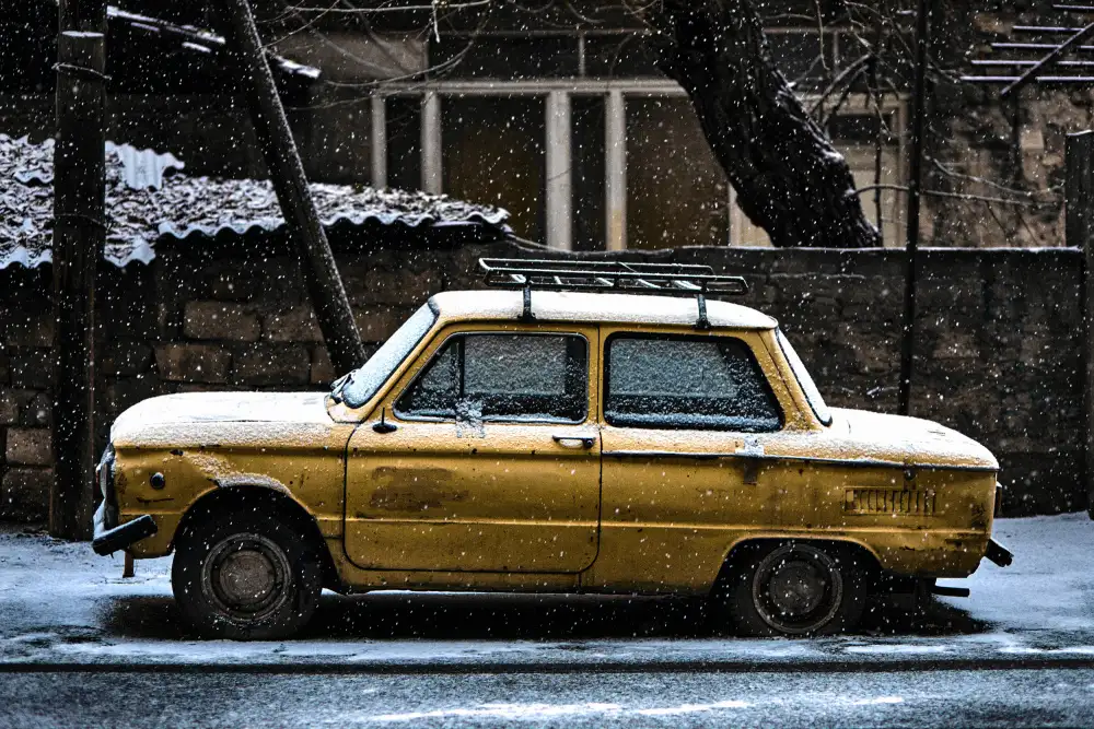 Danilov, Vladislav: Zaporozhets