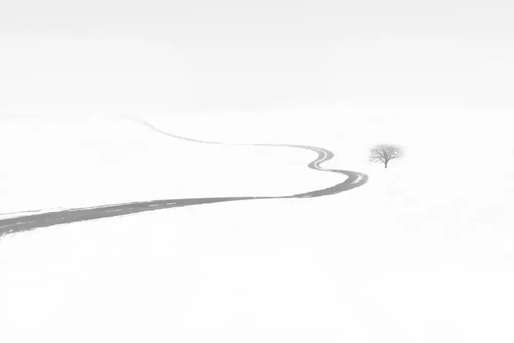 Nodeh, Mostafa: Dream