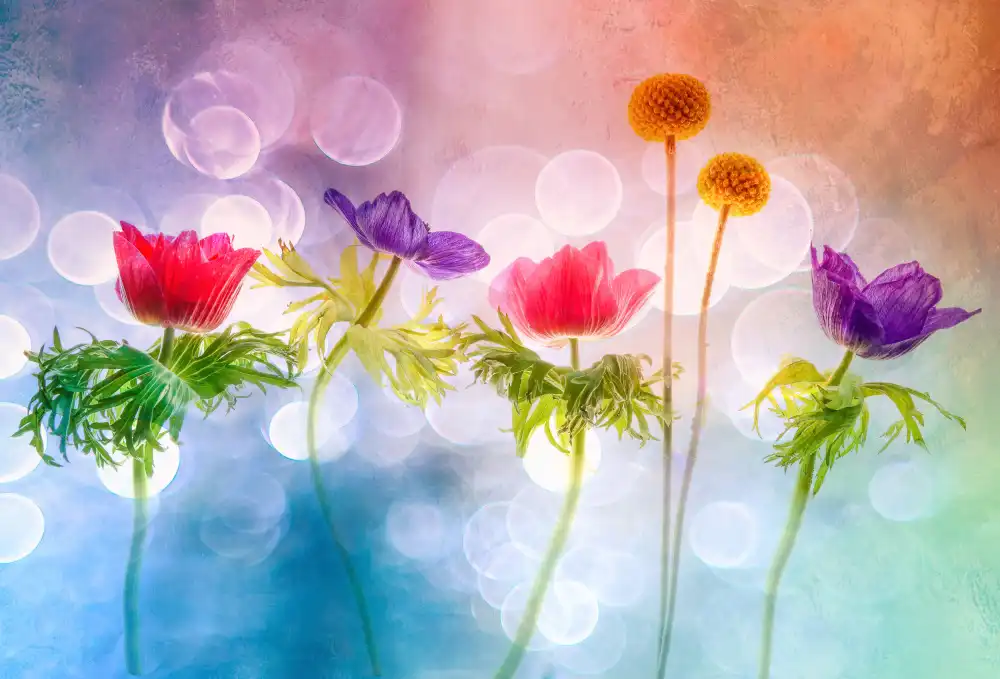 Lee, van Hilda: Fleurs ludiques