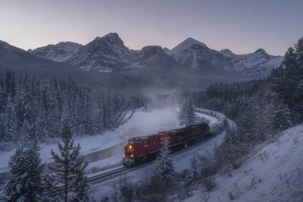Zhang, Steve: El tren en la nieve.