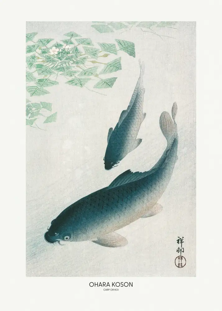 Koson, Ohara: Kapr Nebo Koi